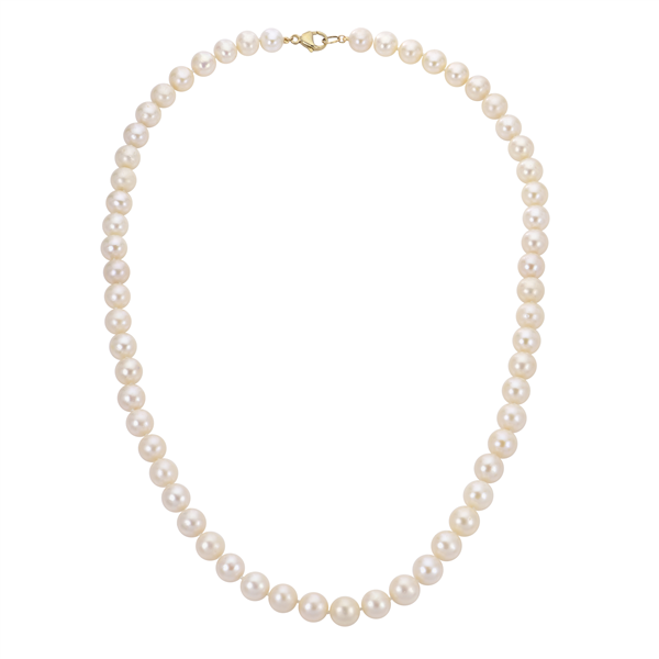 14 Karat Yellow Pearl Single Strand Strand